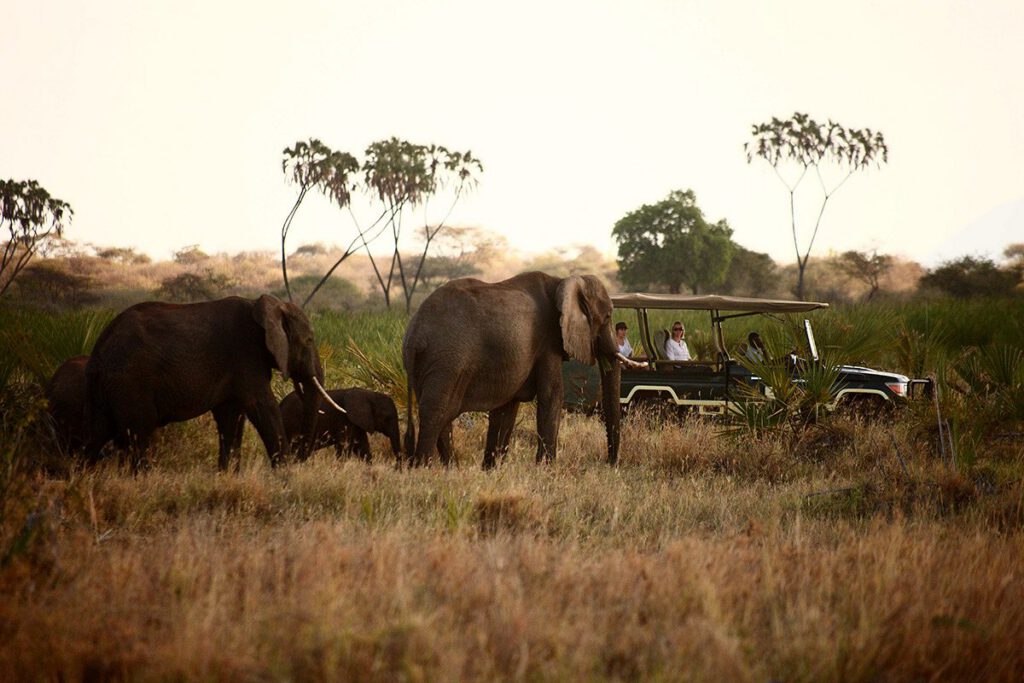Amboseli National Park