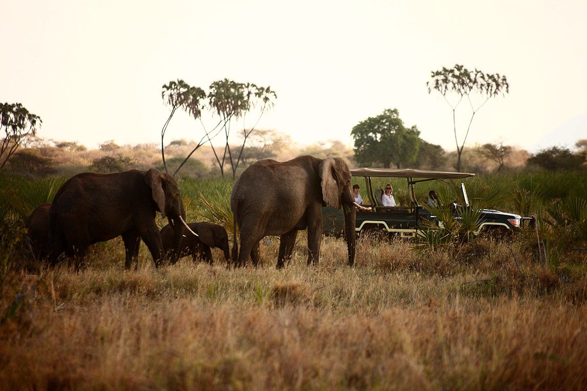Amboseli National Park.