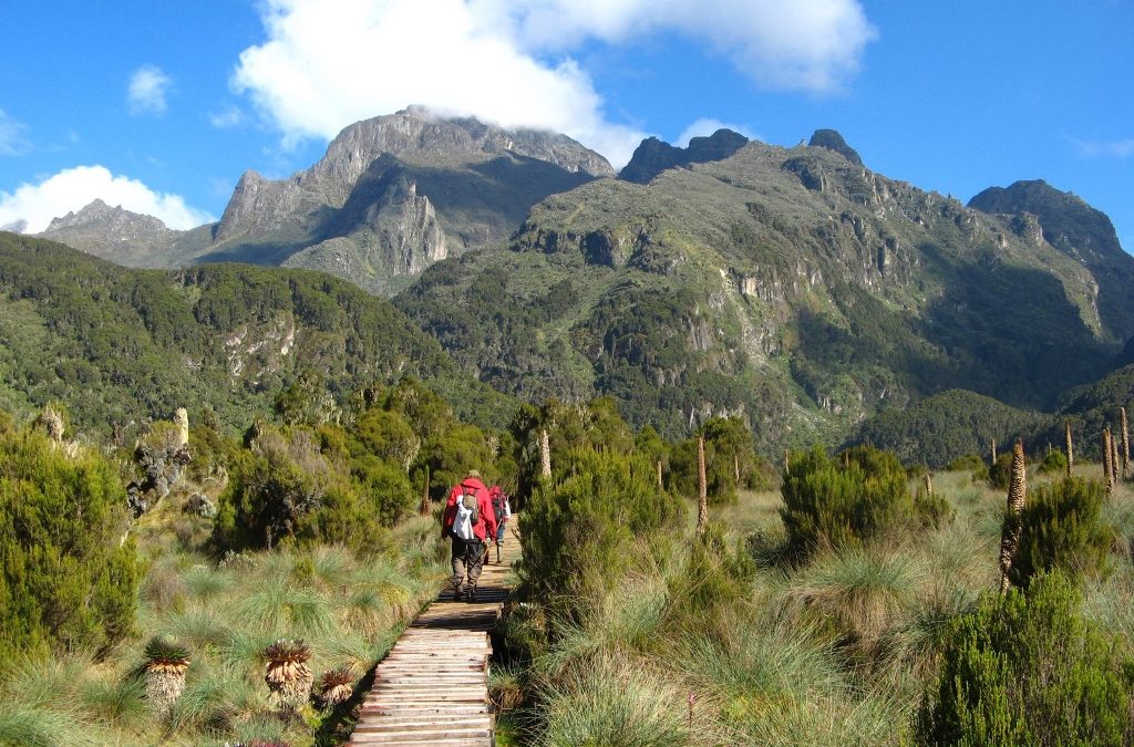 Rwenzori Mountains National Park