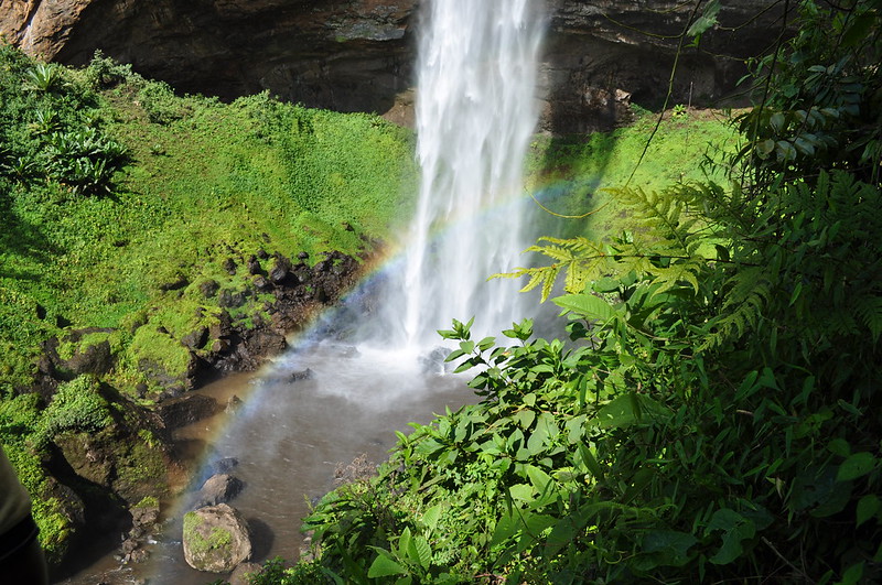 Mt. Elgon National Park