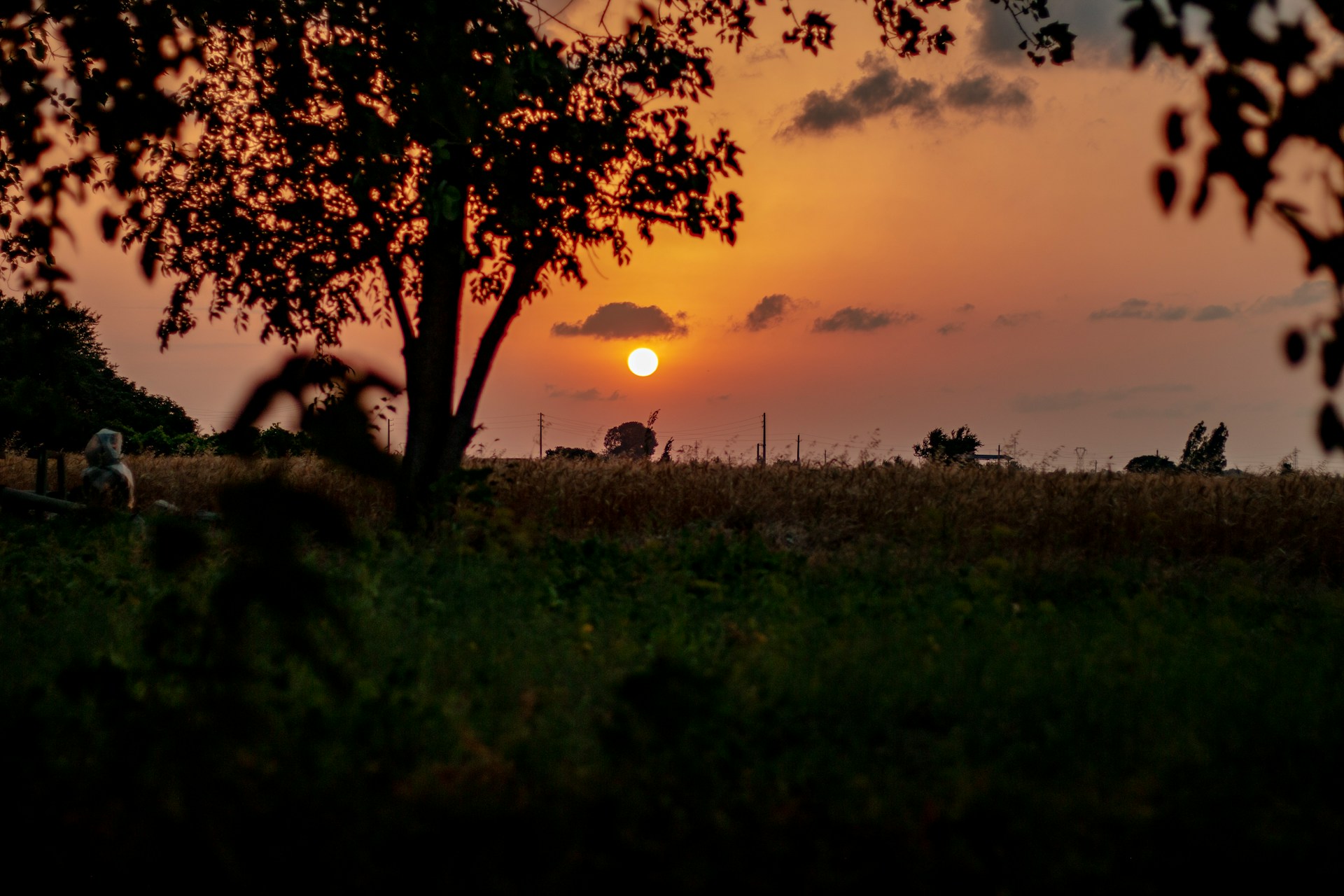 Queen Elizabeth National Park