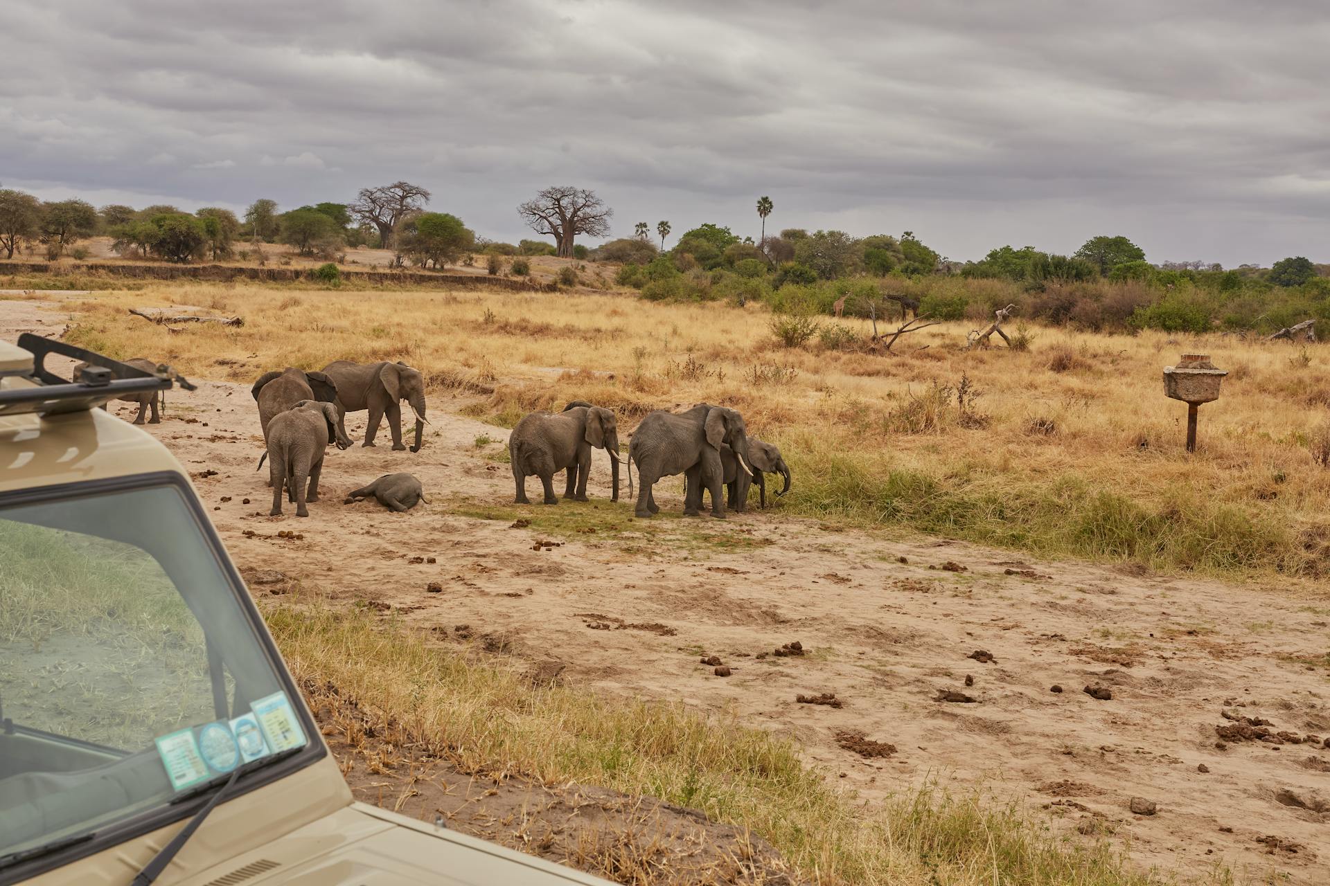 Samburu National Reserve.
