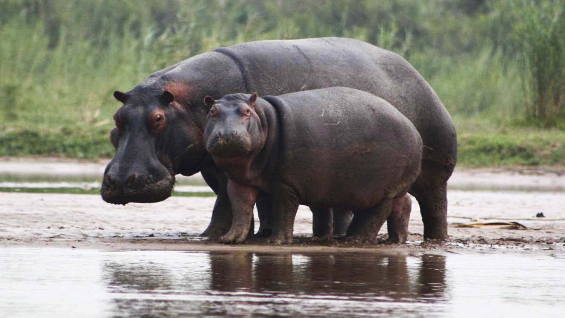 6 Days Burundi Safari Itinerary