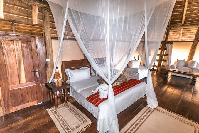 Apoka Safari Lodge