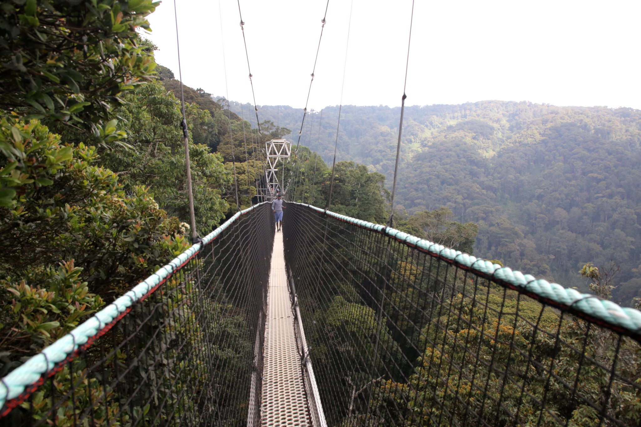 Nyungwe Forest National Park.