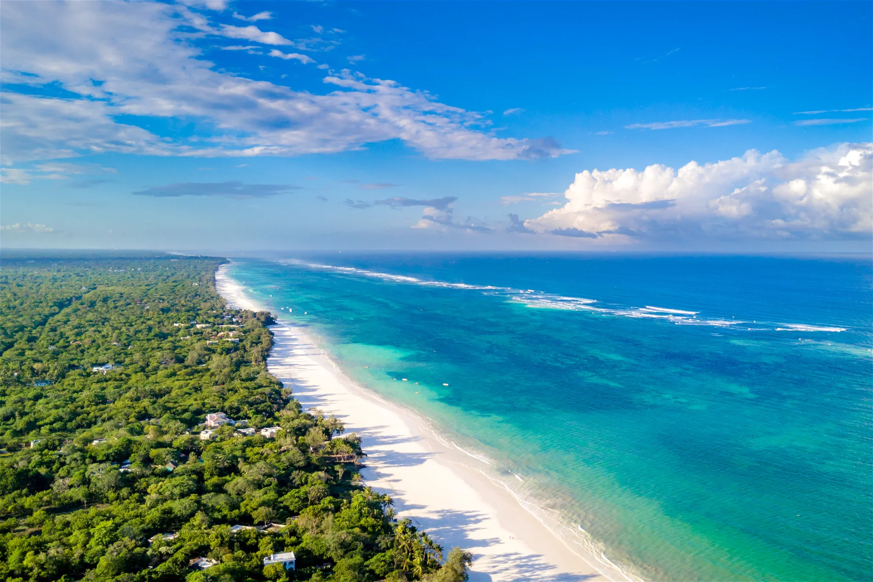 10 Days Kenya Wildlife and Sand Beach Safari: