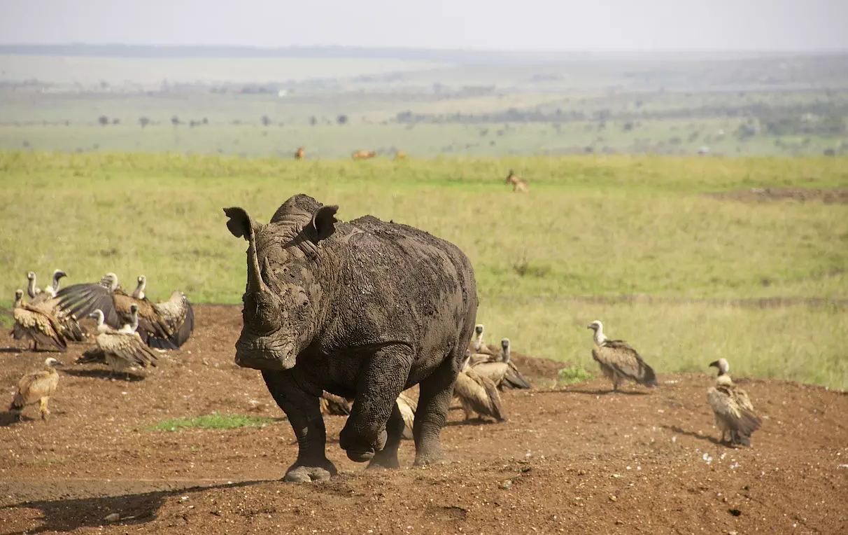 15 Days Magical Ethiopia Safari