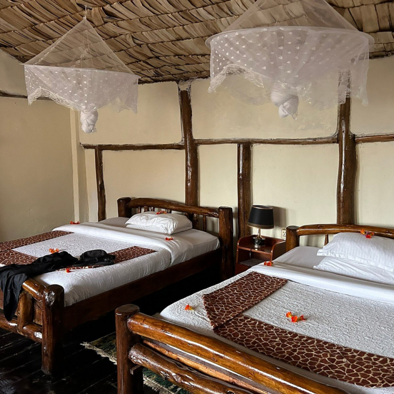 Gorilla Mist Camp