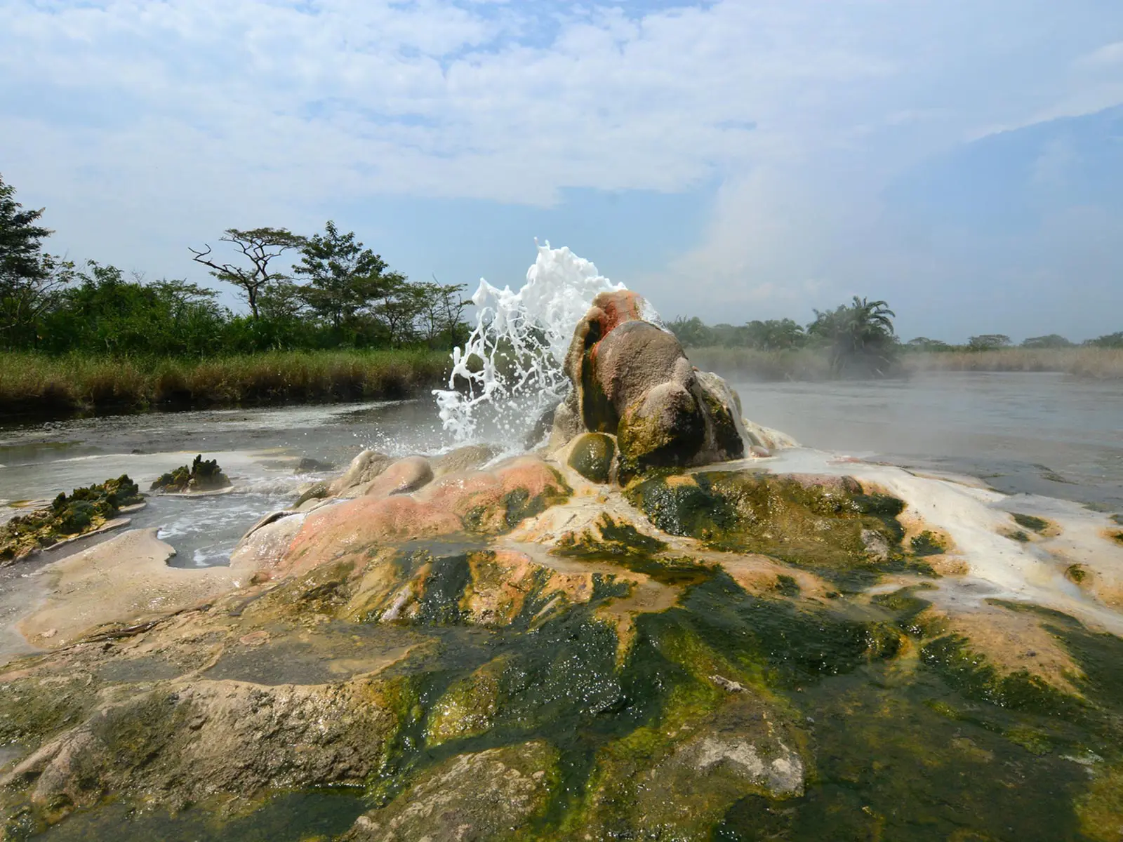 Semuliki National Park.