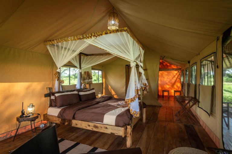 Mikongo Forest Lodge