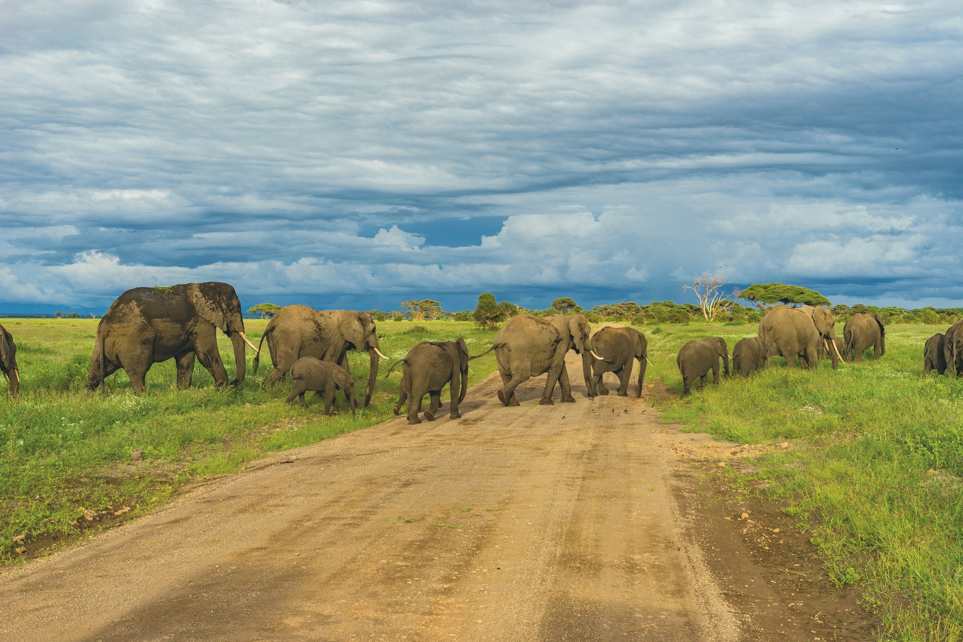 5 Days Kenya Wildlife Safari – Big five Watching in Kenya.