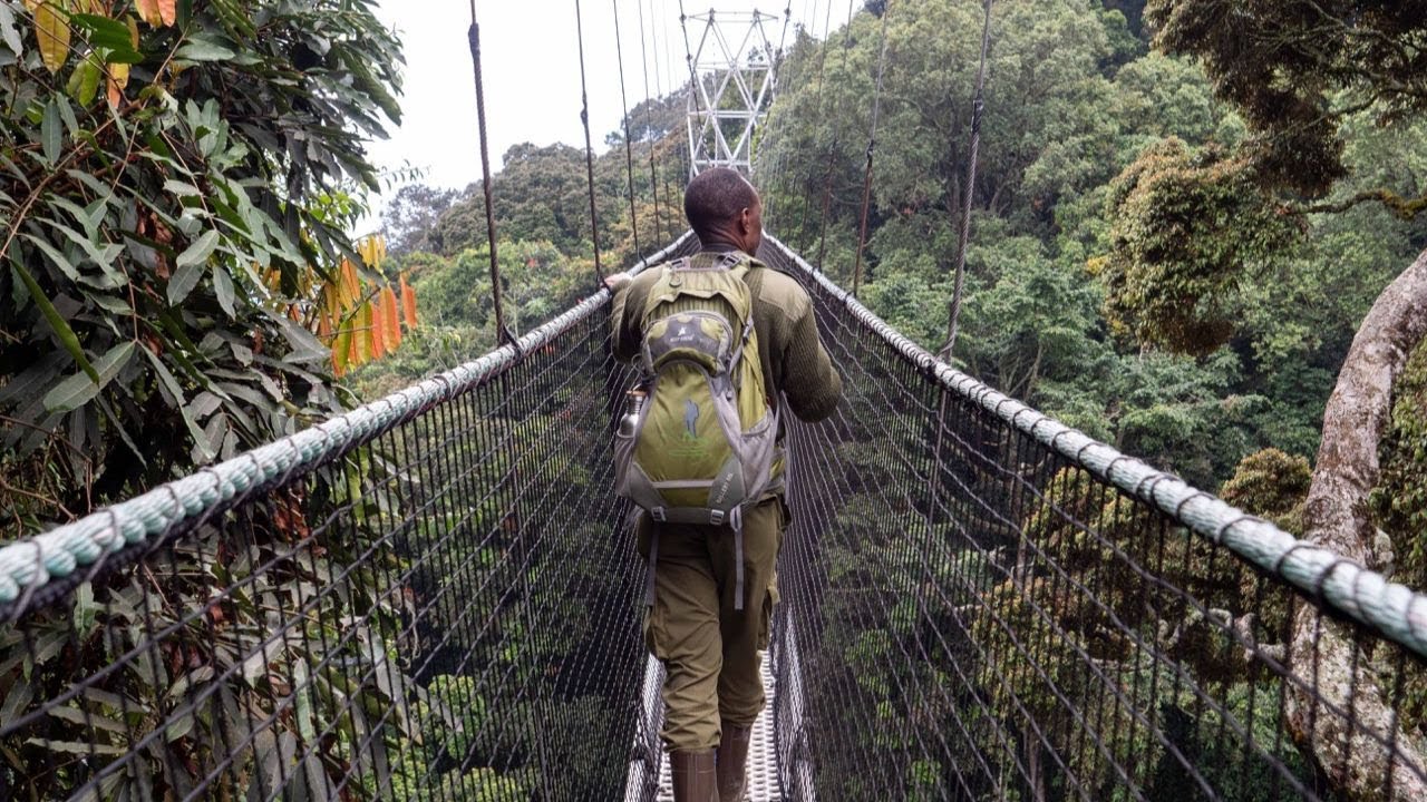 10 Days Rwanda Primate Safari