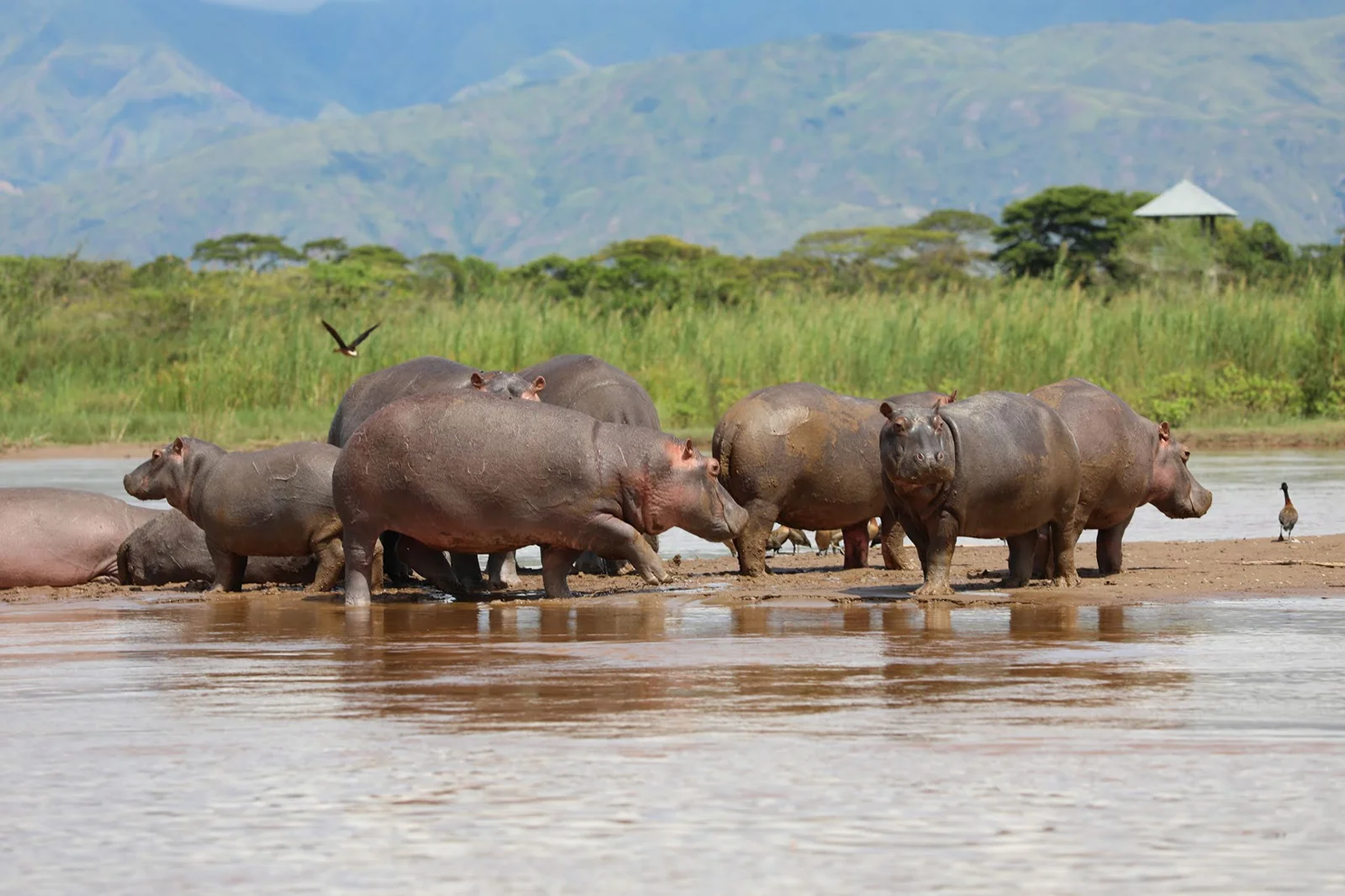 Rusizi National Park