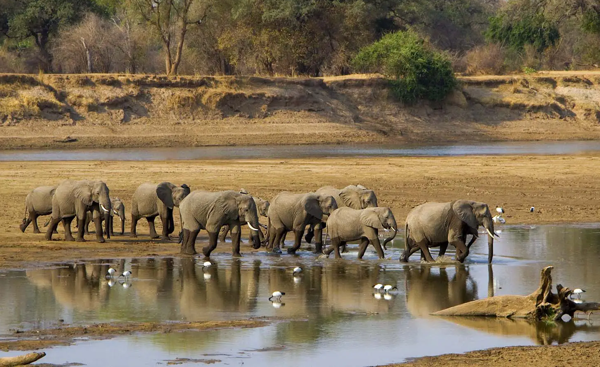 North Luangwa National Park