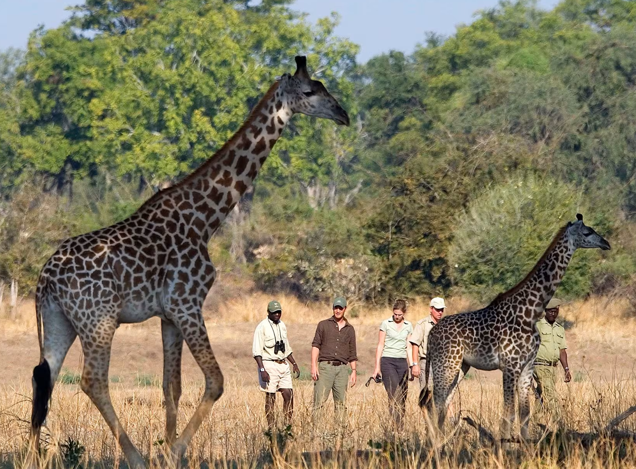 Chobe National Park