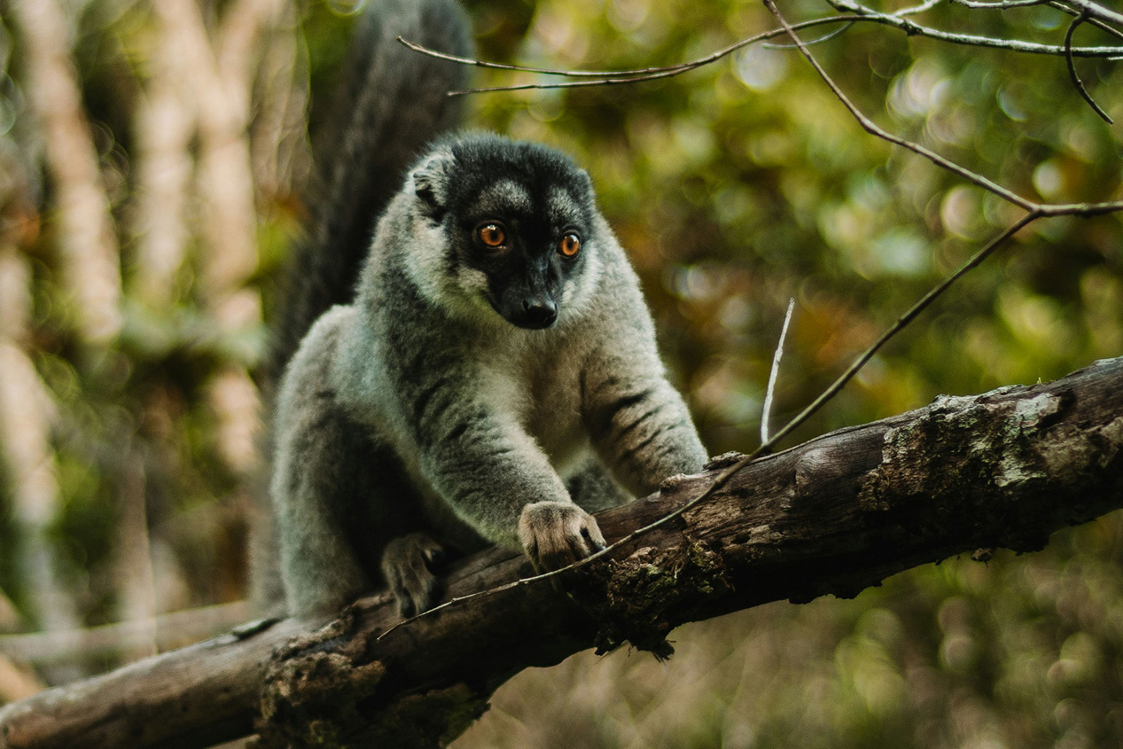 Isalo National Park