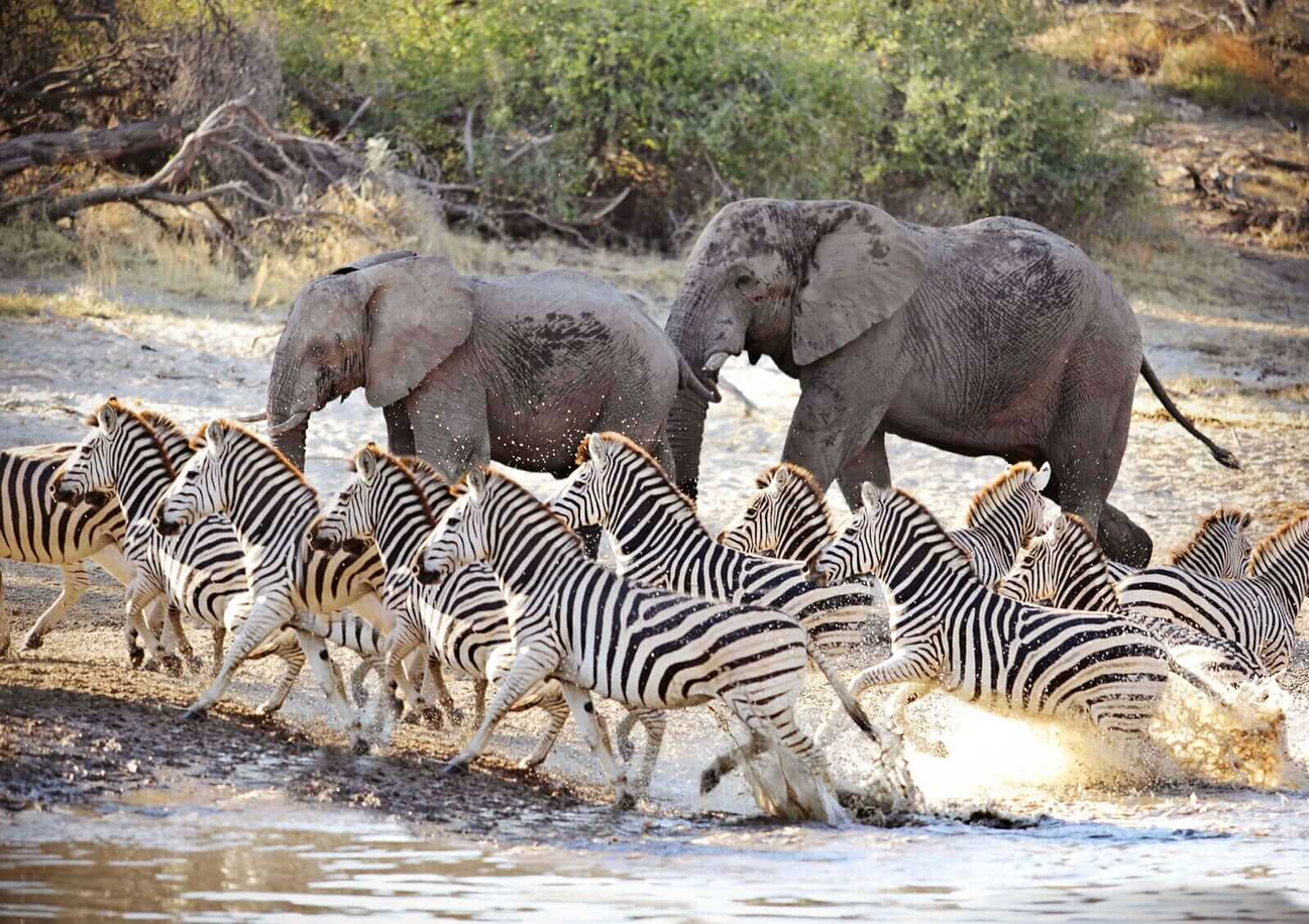 Okavango Delta
