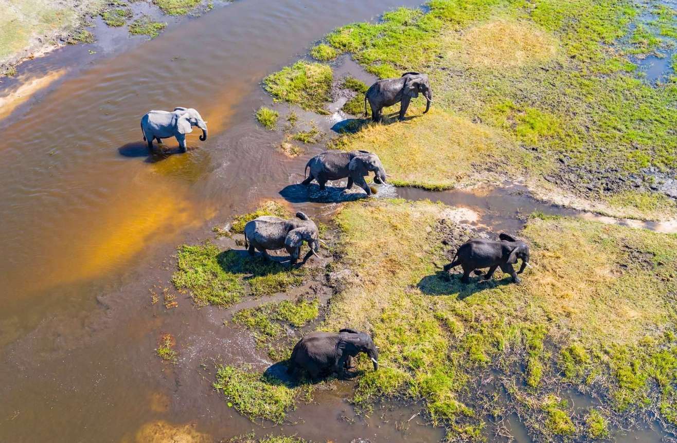 5 Days Botswana Trip to Okavango Delta